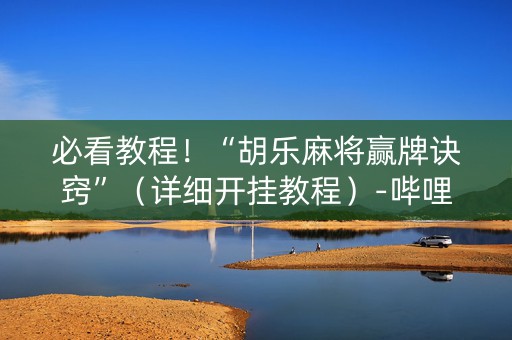 必看教程！“胡乐麻将赢牌诀窍”（详细开挂教程）-哔哩哔哩