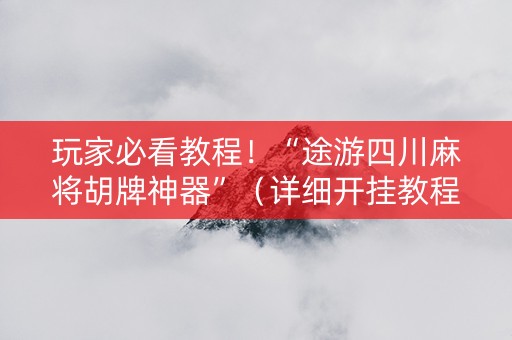 玩家必看教程！“途游四川麻将胡牌神器”（详细开挂教程）-哔哩哔哩