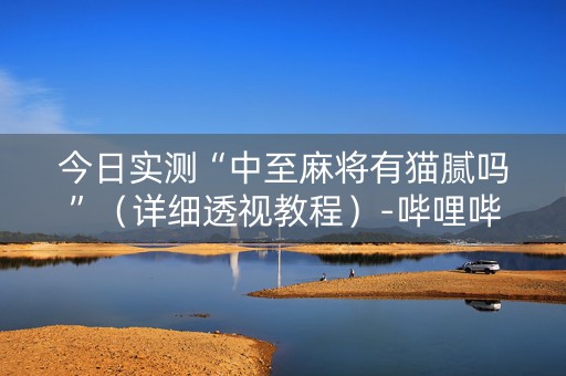 今日实测“中至麻将有猫腻吗”（详细透视教程）-哔哩哔哩