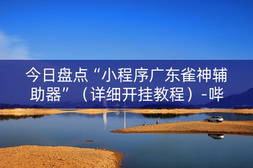 今日盘点“小程序广东雀神辅助器”（详细开挂教程）-哔哩哔哩