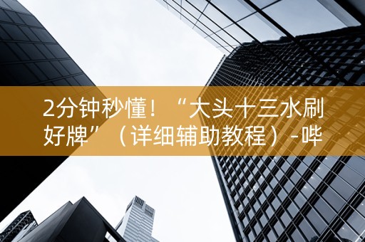 2分钟秒懂！“大头十三水刷好牌”（详细辅助教程）-哔哩哔哩