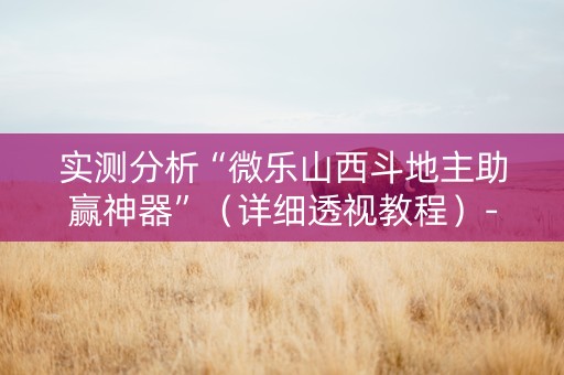 实测分析“微乐山西斗地主助赢神器”（详细透视教程）-哔哩哔哩