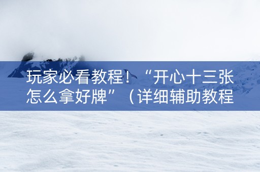 玩家必看教程！“开心十三张怎么拿好牌”（详细辅助教程）-哔哩哔哩