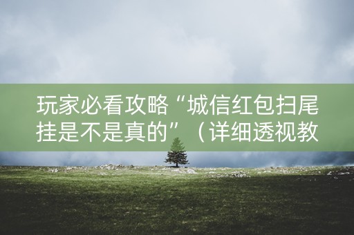 玩家必看攻略“城信红包扫尾挂是不是真的”（详细透视教程）-哔哩哔哩