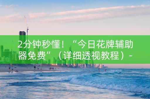 2分钟秒懂！“今日花牌辅助器免费”（详细透视教程）-哔哩哔哩