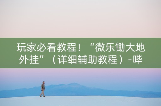 玩家必看教程！“微乐锄大地外挂”（详细辅助教程）-哔哩哔哩
