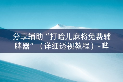 分享辅助“打哈儿麻将免费辅牌器”（详细透视教程）-哔哩哔哩