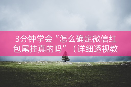 3分钟学会“怎么确定微信红包尾挂真的吗”（详细透视教程）-哔哩哔哩