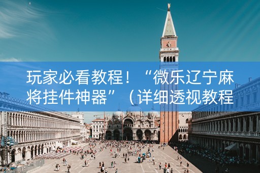 玩家必看教程！“微乐辽宁麻将挂件神器”（详细透视教程）-哔哩哔哩