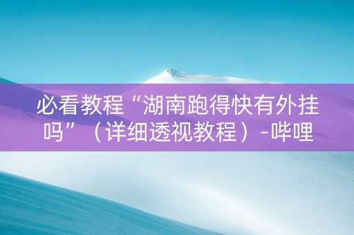 必看教程“湖南跑得快有外挂吗”（详细透视教程）-哔哩哔哩