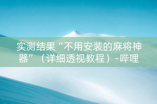 实测结果“不用安装的麻将神器”（详细透视教程）-哔哩哔哩