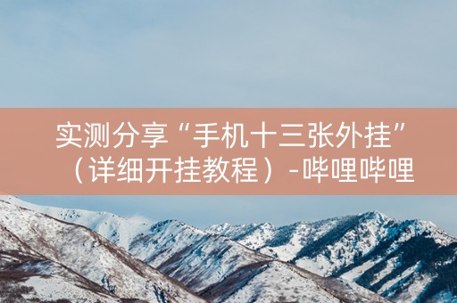 实测分享“手机十三张外挂”（详细开挂教程）-哔哩哔哩