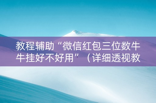 教程辅助“微信红包三位数牛牛挂好不好用”（详细透视教程）-哔哩哔哩