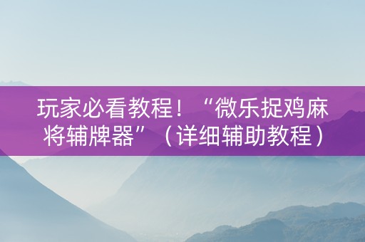 玩家必看教程！“微乐捉鸡麻将辅牌器”（详细辅助教程）-哔哩哔哩