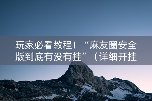 玩家必看教程！“麻友圈安全版到底有没有挂”（详细开挂教程）-哔哩哔哩