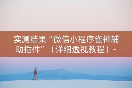 实测结果“微信小程序雀神辅助插件”（详细透视教程）-哔哩哔哩