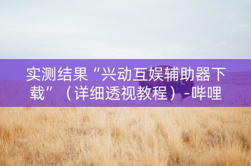 实测结果“兴动互娱辅助器下载”（详细透视教程）-哔哩哔哩