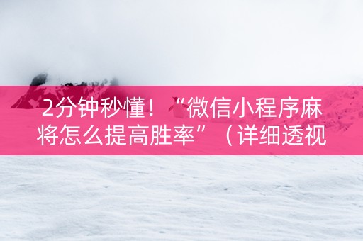 2分钟秒懂！“微信小程序麻将怎么提高胜率”（详细透视教程）-哔哩哔哩