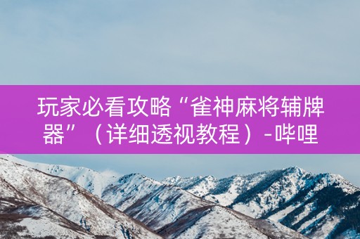 玩家必看攻略“雀神麻将辅牌器”（详细透视教程）-哔哩哔哩