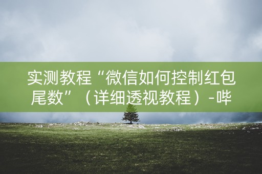 实测教程“微信如何控制红包尾数”（详细透视教程）-哔哩哔哩