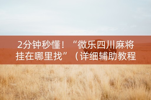 2分钟秒懂！“微乐四川麻将挂在哪里找”（详细辅助教程）-哔哩哔哩