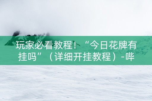 玩家必看教程！“今日花牌有挂吗”（详细开挂教程）-哔哩哔哩