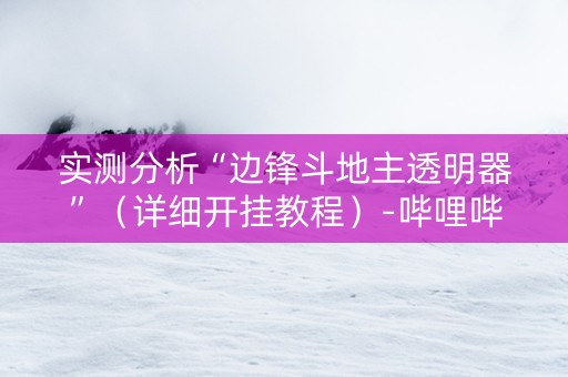 实测分析“边锋斗地主透明器”（详细开挂教程）-哔哩哔哩