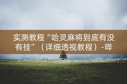 实测教程“哈灵麻将到底有没有挂”（详细透视教程）-哔哩哔哩