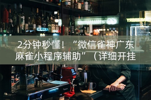 2分钟秒懂！“微信雀神广东麻雀小程序辅助”（详细开挂教程）-哔哩哔哩