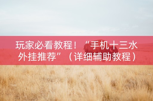 玩家必看教程！“手机十三水外挂推荐”（详细辅助教程）-哔哩哔哩