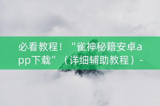 必看教程！“雀神秘籍安卓app下载”（详细辅助教程）-哔哩哔哩