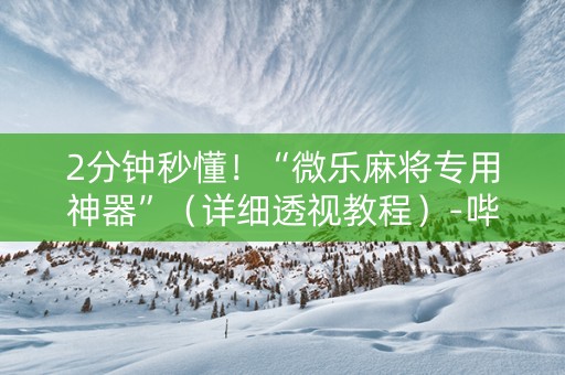 2分钟秒懂！“微乐麻将专用神器”（详细透视教程）-哔哩哔哩