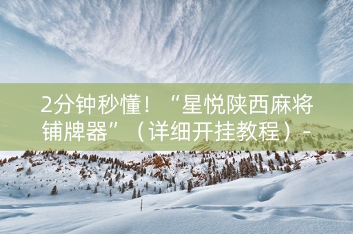 2分钟秒懂！“星悦陕西麻将铺牌器”（详细开挂教程）-哔哩哔哩