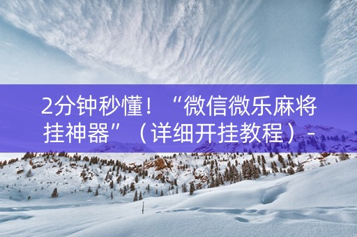 2分钟秒懂！“微信微乐麻将挂神器”（详细开挂教程）-哔哩哔哩