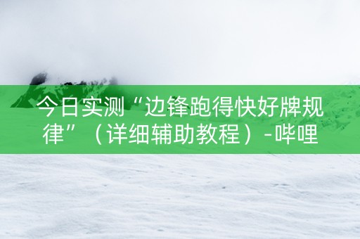 今日实测“边锋跑得快好牌规律”（详细辅助教程）-哔哩哔哩