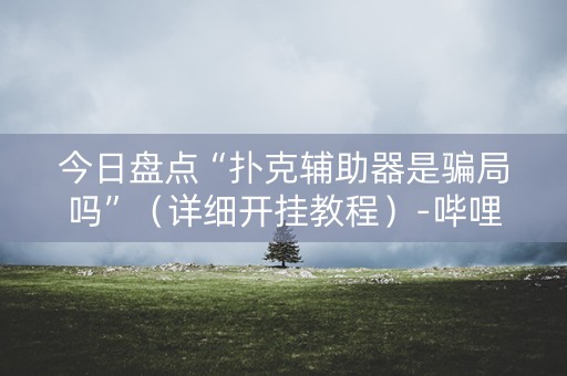 今日盘点“扑克辅助器是骗局吗”（详细开挂教程）-哔哩哔哩