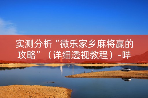 实测分析“微乐家乡麻将赢的攻略”（详细透视教程）-哔哩哔哩