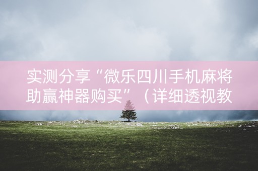 实测分享“微乐四川手机麻将助赢神器购买”（详细透视教程）-哔哩哔哩