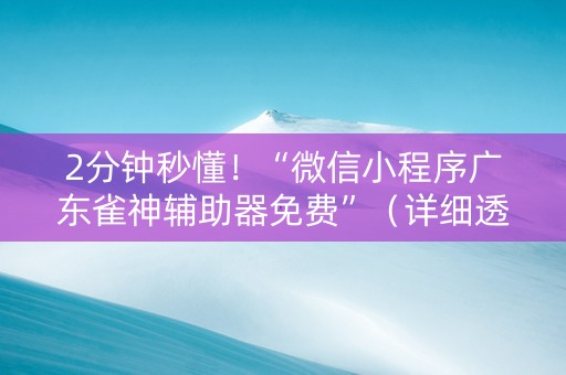 2分钟秒懂！“微信小程序广东雀神辅助器免费”（详细透视教程）-哔哩哔哩