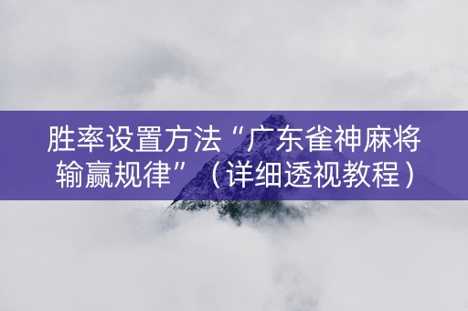 胜率设置方法“广东雀神麻将输赢规律”（详细透视教程）-哔哩哔哩