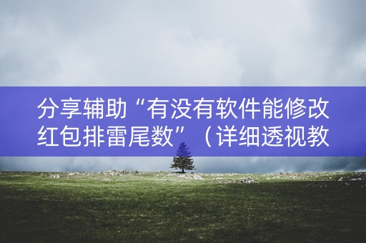 分享辅助“有没有软件能修改红包排雷尾数”（详细透视教程）-哔哩哔哩