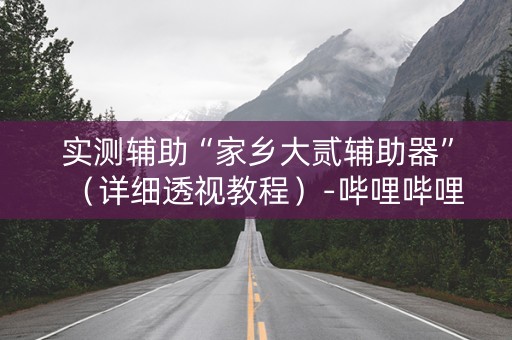 实测辅助“家乡大贰辅助器”（详细透视教程）-哔哩哔哩
