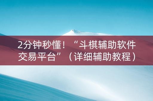 2分钟秒懂！“斗棋辅助软件交易平台”（详细辅助教程）-哔哩哔哩