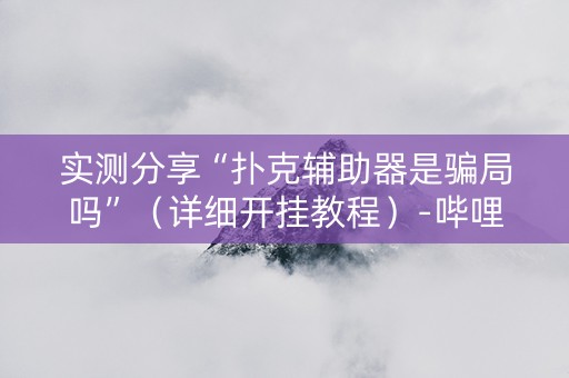 实测分享“扑克辅助器是骗局吗”（详细开挂教程）-哔哩哔哩