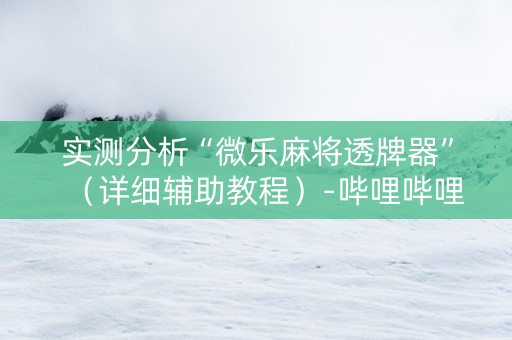 实测分析“微乐麻将透牌器”（详细辅助教程）-哔哩哔哩