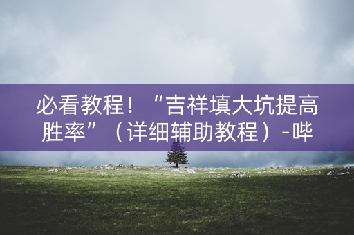 必看教程！“吉祥填大坑提高胜率”（详细辅助教程）-哔哩哔哩