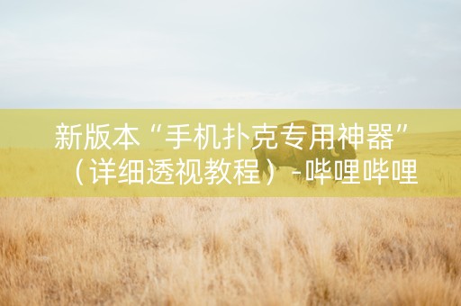 新版本“手机扑克专用神器”（详细透视教程）-哔哩哔哩