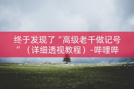 终于发现了“高级老千做记号”（详细透视教程）-哔哩哔哩