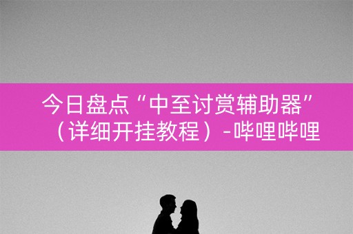 今日盘点“中至讨赏辅助器”（详细开挂教程）-哔哩哔哩