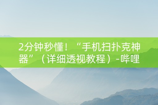 2分钟秒懂！“手机扫扑克神器”（详细透视教程）-哔哩哔哩